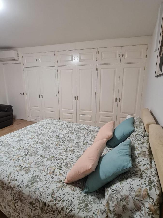 알하우린데라토레 Apartamento Loft Acogedor 아파트 외부 사진